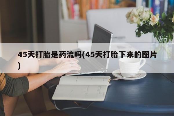 admin 第839页