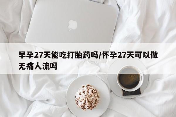买流产药打胎药保密发货早孕27天能吃打胎药吗/怀孕27天可以做无痛人流吗