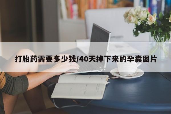 买流产药打胎药保密发货打胎药需要多少钱/40天掉下来的孕囊图片